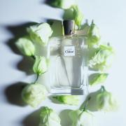 Love, Chloe Eau Florale Chloé perfume - a fragrance for