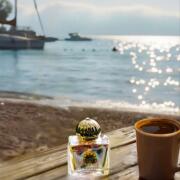 Fate Woman Amouage perfume - a fragrância Feminino 2013