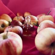 Photo by Маривиктори