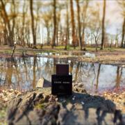 Photo by Kambiz_6977