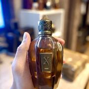 Photo by Gustavobreb2