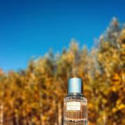 Blushing Sands Estée Lauder 香水- 一款2021年中性香水