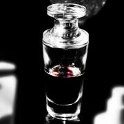 Photo by Lev Izhitca