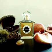 Mitsouko Eau de Parfum Guerlain perfume - a fragrância Feminino 2021
