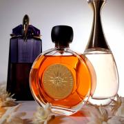 Jadore fragrantica clearance