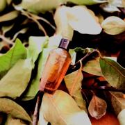 Bel Ami Hermès cologne - a fragrance for men 1986