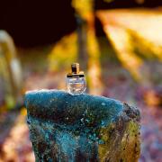 Photo by симонетта веспуччи