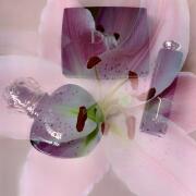 Photo by RevaFearstine