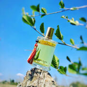 Photo by mortezamomeni