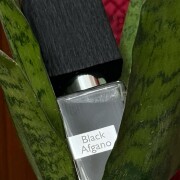 Black Afgano Nasomatto 香水- 一款2009年中性香水