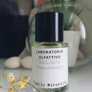 Tiglio Mirabilis Laboratorio Olfattivo perfume - a new Tiglio Mirabilis Laboratorio Olfattivo perfume - a new