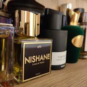 Photo by SteluStelly