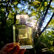 Chanel No 19 Poudre Chanel perfume - a fragrance for women 2011