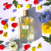 Belle de Grasse Fragonard perfume - a fragrance for women 2020