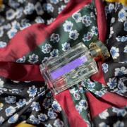 Photo by ShinningLightOfThunder