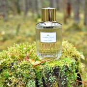 ESTEE LAUDER TENDER LIGHT 香水 100ml テンダー ライト オーデ パフューム スプレィ | エスティ