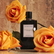 Moonlight Patchouli Van Cleef & Arpels perfume - a