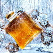 24 Faubourg Hermès perfume - a fragrance for women 1995