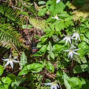 Photo by Louche_Bouche