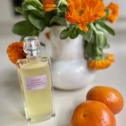 Photo by Sassafras23