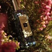 【30ml】jo malone HIGHLAND HEATHER Jo Malone London Limited Edition Highland Heather Cologne, 1