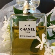 Chanel No 19 Eau de Parfum Chanel parfüm - kadınlar için bir koku
