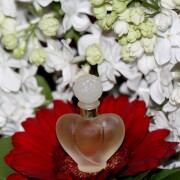 Farouche Nina Ricci perfume - a fragrância Feminino 1973