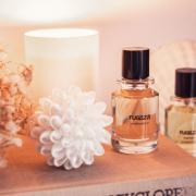 Just arrived: FUGAZZI - Innovative perfumes from Amsterdam