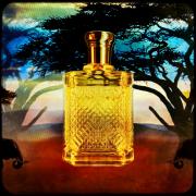 Safari for Men Ralph Lauren cologne - a fragrance for men 1992