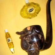 Photo by Vibia Sabina