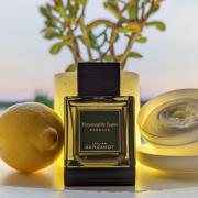 Italian Bergamot Eau de Parfum Ermenegildo Zegna perfume - a 