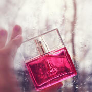 Photo by Ин_жир