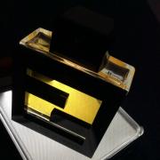Fan di Fendi Homme Fendi cologne - a fragrance men 2012
