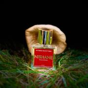  Nishane Istanbul tuberoza extrait de parfum 50 ml brown US  size 50 TUBEROZA : Beauty & Personal Care