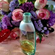 Photo by Alexa 2018*