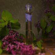 Photo by Sweet Orchid