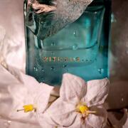 Photo by Carte_des_senteurs