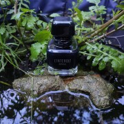L'Interdit Absolu Givenchy 香水- 一款2024年新的女用香水