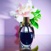 Lady gaga best sale fame fragrantica