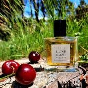 Luxe Calme Volupte Francesca Bianchi perfume - a fragrance