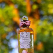 Equinox Bloom Penhaligon's perfume - a fragrance for