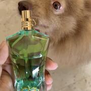 Photo by LaqshyBirdi