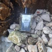 ZARA ELEGANTLY TOKYO オードパルファム 100ml Elegantly Tokyo Zara perfume - a fragrance for women and men