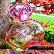 Incanto Amity Salvatore Ferragamo perfume - a fragrância Feminino 2014