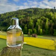 The Beat Burberry perfume - a fragrance for women 2008