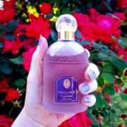 Guerlain Insolence Eau De Parfum Fragrantica 2025