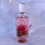 Ôver The Top Lancôme 香水- 一款2025年新的中性香水