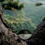 Photo by Лейка@@@