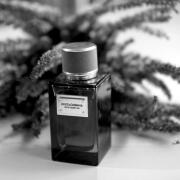 Velvet Desert Oud Dolce&Gabbana perfumy - to perfumy