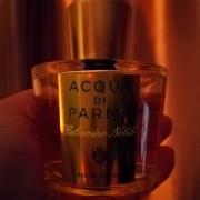 Photo by eduardaestrelita